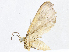  ( - CBG-A05439-D10)  @11 [ ] CreativeCommons - Attribution (2023) CBG Photography Group Centre for Biodiversity Genomics