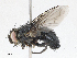  (Wood9382 - CBG-A05439-F06)  @11 [ ] CreativeCommons - Attribution (2023) CBG Photography Group Centre for Biodiversity Genomics