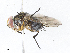  ( - CBG-A05440-B10)  @11 [ ] CreativeCommons - Attribution (2023) CBG Photography Group Centre for Biodiversity Genomics