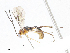  ( - CBG-A05440-F10)  @11 [ ] CreativeCommons - Attribution (2023) CBG Photography Group Centre for Biodiversity Genomics