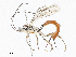  ( - CBG-A06214-A07)  @11 [ ] CreativeCommons - Attribution (2023) CBG Photography Group Centre for Biodiversity Genomics