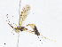  ( - CBG-A06214-C04)  @11 [ ] CreativeCommons - Attribution (2023) CBG Photography Group Centre for Biodiversity Genomics