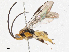  ( - CBG-A06215-C06)  @11 [ ] CreativeCommons - Attribution (2023) CBG Photography Group Centre for Biodiversity Genomics