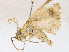  ( - CBG-A06215-G04)  @11 [ ] CreativeCommons - Attribution (2023) CBG Photography Group Centre for Biodiversity Genomics