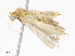  ( - CBG-A06217-C05)  @11 [ ] CreativeCommons - Attribution (2023) CBG Photography Group Centre for Biodiversity Genomics