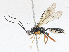  ( - CBG-A06218-G02)  @11 [ ] CreativeCommons - Attribution (2023) CBG Photography Group Centre for Biodiversity Genomics