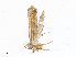  ( - CBG-A06262-A04)  @11 [ ] CreativeCommons - Attribution Share - Alike (2023) CBG Photography Group Centre for Biodiversity Genomics