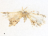  ( - CBG-A31839-F01)  @11 [ ] CreativeCommons - Attribution Share - Alike (2024) CBG Photography Group Centre for Biodiversity Genomics