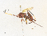  ( - CBG-A33507-A01)  @11 [ ] CreativeCommons - Attribution Share - Alike (2024) CBG Photography Group Centre for Biodiversity Genomics