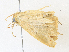  ( - CBG-A34291-B10)  @11 [ ] CreativeCommons - Attribution Share - Alike (2024) CBG Photography Group Centre for Biodiversity Genomics