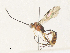  ( - CBG-A34292-G07)  @11 [ ] CreativeCommons - Attribution Share - Alike (2024) CBG Photography Group Centre for Biodiversity Genomics