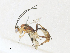  ( - CBG-A34292-G11)  @11 [ ] CreativeCommons - Attribution Share - Alike (2024) CBG Photography Group Centre for Biodiversity Genomics