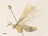  ( - CBG-A34292-H04)  @11 [ ] CreativeCommons - Attribution Share - Alike (2024) CBG Photography Group Centre for Biodiversity Genomics