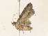  ( - CBG-A34292-H07)  @11 [ ] CreativeCommons - Attribution Share - Alike (2024) CBG Photography Group Centre for Biodiversity Genomics