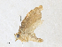  ( - CBG-A34292-H11)  @11 [ ] CreativeCommons - Attribution Share - Alike (2024) CBG Photography Group Centre for Biodiversity Genomics