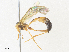  ( - CBG-A36737-B10)  @11 [ ] CreativeCommons - Attribution Share - Alike (2024) CBG Photography Group Centre for Biodiversity Genomics