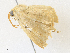  ( - CBG-A36738-A08)  @11 [ ] CreativeCommons - Attribution Share - Alike (2024) CBG Photography Group Centre for Biodiversity Genomics