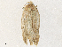  ( - CBG-A36738-B04)  @11 [ ] CreativeCommons - Attribution Share - Alike (2024) CBG Photography Group Centre for Biodiversity Genomics
