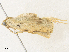  ( - CBG-A36738-B07)  @11 [ ] CreativeCommons - Attribution Share - Alike (2024) CBG Photography Group Centre for Biodiversity Genomics