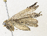  ( - CBG-A36738-B08)  @11 [ ] CreativeCommons - Attribution Share - Alike (2024) CBG Photography Group Centre for Biodiversity Genomics