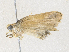  ( - CBG-A36738-C04)  @11 [ ] CreativeCommons - Attribution Share - Alike (2024) CBG Photography Group Centre for Biodiversity Genomics