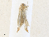  ( - CBG-A36753-A03)  @11 [ ] CreativeCommons - Attribution Share - Alike (2024) CBG Photography Group Centre for Biodiversity Genomics