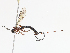  ( - CBG-A07038-G01)  @11 [ ] CreativeCommons - Attribution Share - Alike (2023) CBG Photography Group Centre for Biodiversity Genomics