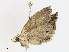  ( - CBG-A07039-D03)  @11 [ ] CreativeCommons - Attribution Share - Alike (2023) CBG Photography Group Centre for Biodiversity Genomics