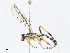  ( - CBG-A13200-A07)  @11 [ ] CreativeCommons - Attribution Share - Alike (2023) CBG Photography Group Centre for Biodiversity Genomics