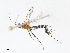  ( - CBG-A13203-B10)  @11 [ ] CreativeCommons - Attribution Share - Alike (2023) CBG Photography Group Centre for Biodiversity Genomics