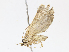  ( - CBG-A13203-G04)  @11 [ ] CreativeCommons - Attribution Share - Alike (2023) CBG Photography Group Centre for Biodiversity Genomics