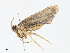  ( - CBG-A13204-B11)  @11 [ ] CreativeCommons - Attribution Share - Alike (2023) CBG Photography Group Centre for Biodiversity Genomics