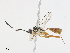  ( - CBG-A13204-F03)  @11 [ ] CreativeCommons - Attribution Share - Alike (2023) CBG Photography Group Centre for Biodiversity Genomics