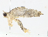  ( - CBG-A13204-F09)  @11 [ ] CreativeCommons - Attribution Share - Alike (2023) CBG Photography Group Centre for Biodiversity Genomics