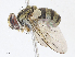  ( - CBG-A13206-B10)  @11 [ ] CreativeCommons - Attribution Share - Alike (2023) CBG Photography Group Centre for Biodiversity Genomics