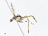  ( - CBG-A13206-C08)  @11 [ ] CreativeCommons - Attribution Share - Alike (2023) CBG Photography Group Centre for Biodiversity Genomics