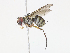  ( - CBG-A13206-G07)  @11 [ ] CreativeCommons - Attribution Share - Alike (2023) CBG Photography Group Centre for Biodiversity Genomics