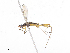  ( - CBG-A13206-H02)  @11 [ ] CreativeCommons - Attribution Share - Alike (2023) CBG Photography Group Centre for Biodiversity Genomics