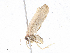  ( - CBG-A13206-H06)  @11 [ ] CreativeCommons - Attribution Share - Alike (2023) CBG Photography Group Centre for Biodiversity Genomics