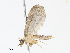  ( - CBG-A13207-E11)  @11 [ ] CreativeCommons - Attribution Share - Alike (2023) CBG Photography Group Centre for Biodiversity Genomics