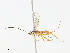 ( - CBG-A13208-F12)  @11 [ ] CreativeCommons - Attribution Share - Alike (2023) CBG Photography Group Centre for Biodiversity Genomics