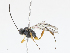  ( - CBG-A13208-G02)  @11 [ ] CreativeCommons - Attribution Share - Alike (2023) CBG Photography Group Centre for Biodiversity Genomics
