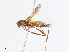 ( - CBG-A13231-C01)  @11 [ ] CreativeCommons - Attribution Share - Alike (2023) CBG Photography Group Centre for Biodiversity Genomics