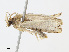  ( - CBG-A13232-C11)  @11 [ ] CreativeCommons - Attribution Share-Alike (2023) CBG Photography Group Centre for Biodiversity Genomics