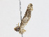  ( - CBG-A13232-D02)  @11 [ ] CreativeCommons - Attribution Share-Alike (2023) CBG Photography Group Centre for Biodiversity Genomics
