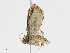  ( - CBG-A13232-D04)  @11 [ ] CreativeCommons - Attribution Share-Alike (2023) CBG Photography Group Centre for Biodiversity Genomics