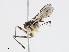  ( - CBG-A13232-E04)  @11 [ ] CreativeCommons - Attribution Share-Alike (2023) CBG Photography Group Centre for Biodiversity Genomics