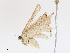  ( - CBG-A13232-G02)  @11 [ ] CreativeCommons - Attribution Share-Alike (2023) CBG Photography Group Centre for Biodiversity Genomics