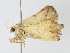  ( - CBG-A13285-D11)  @11 [ ] CreativeCommons - Attribution Share-Alike (2023) CBG Photography Group Centre for Biodiversity Genomics