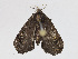  ( - CBG-A13285-E04)  @11 [ ] CreativeCommons - Attribution Share-Alike (2023) CBG Photography Group Centre for Biodiversity Genomics